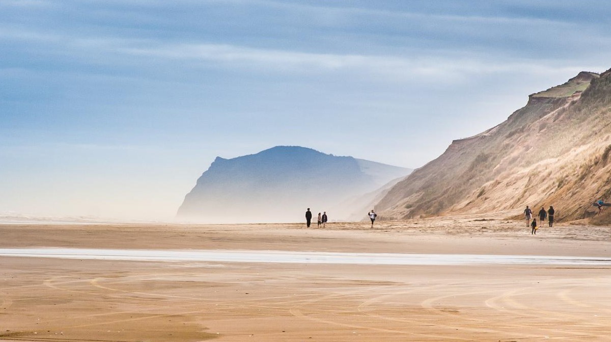 Dargaville Activities | Dargaville NZ | New Zealand